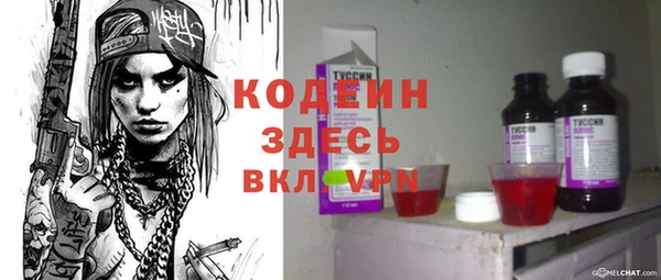 индика Верея